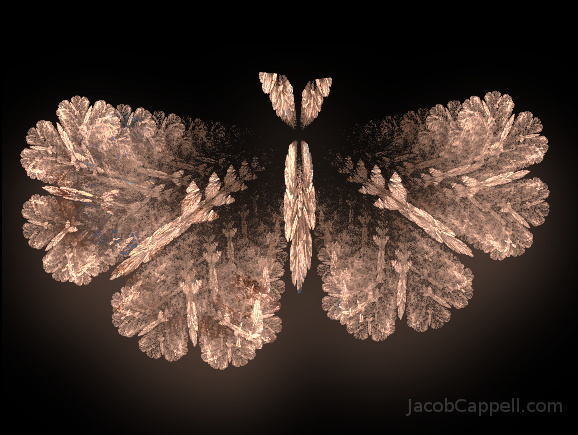 Moth Fractal